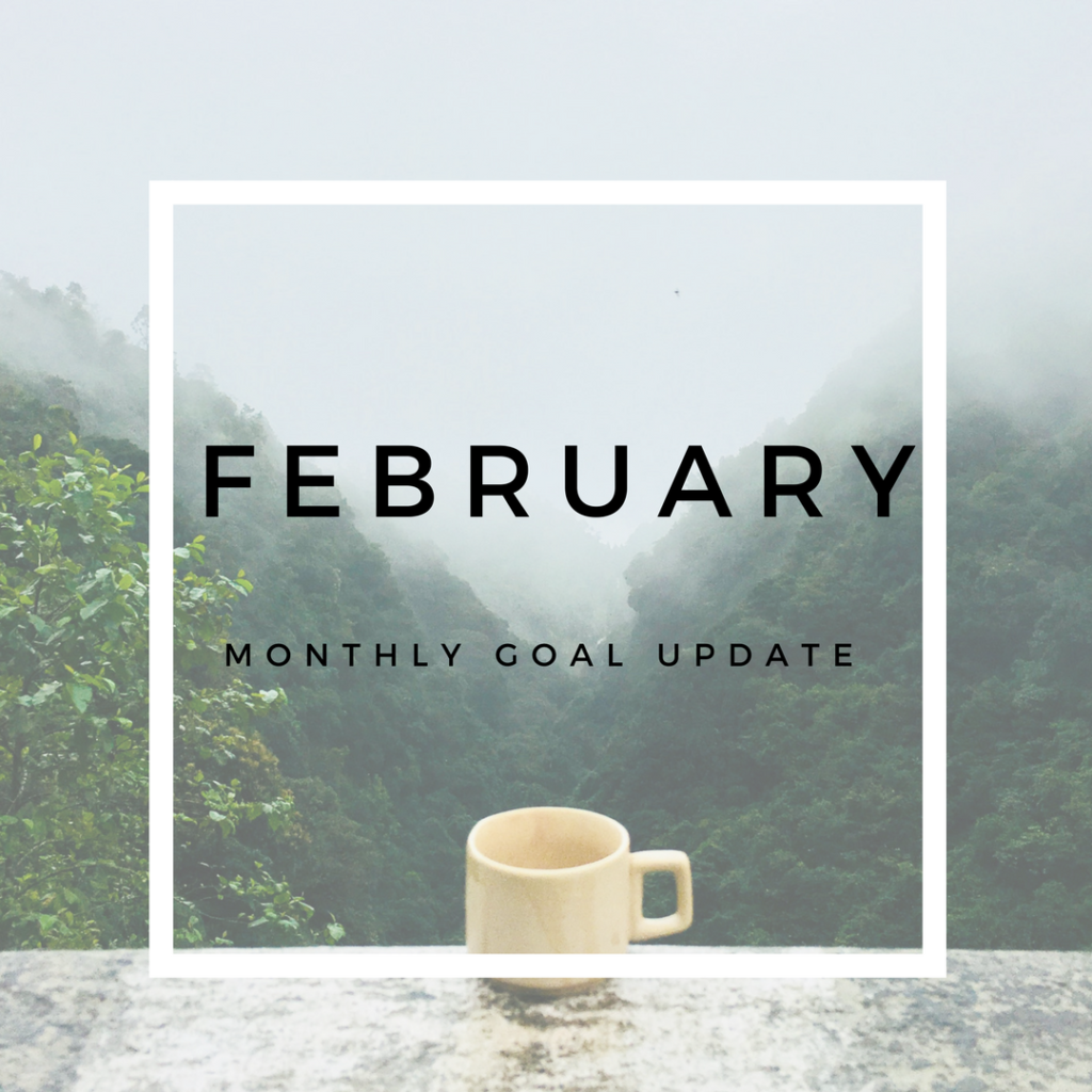 February Monthly Goal Update