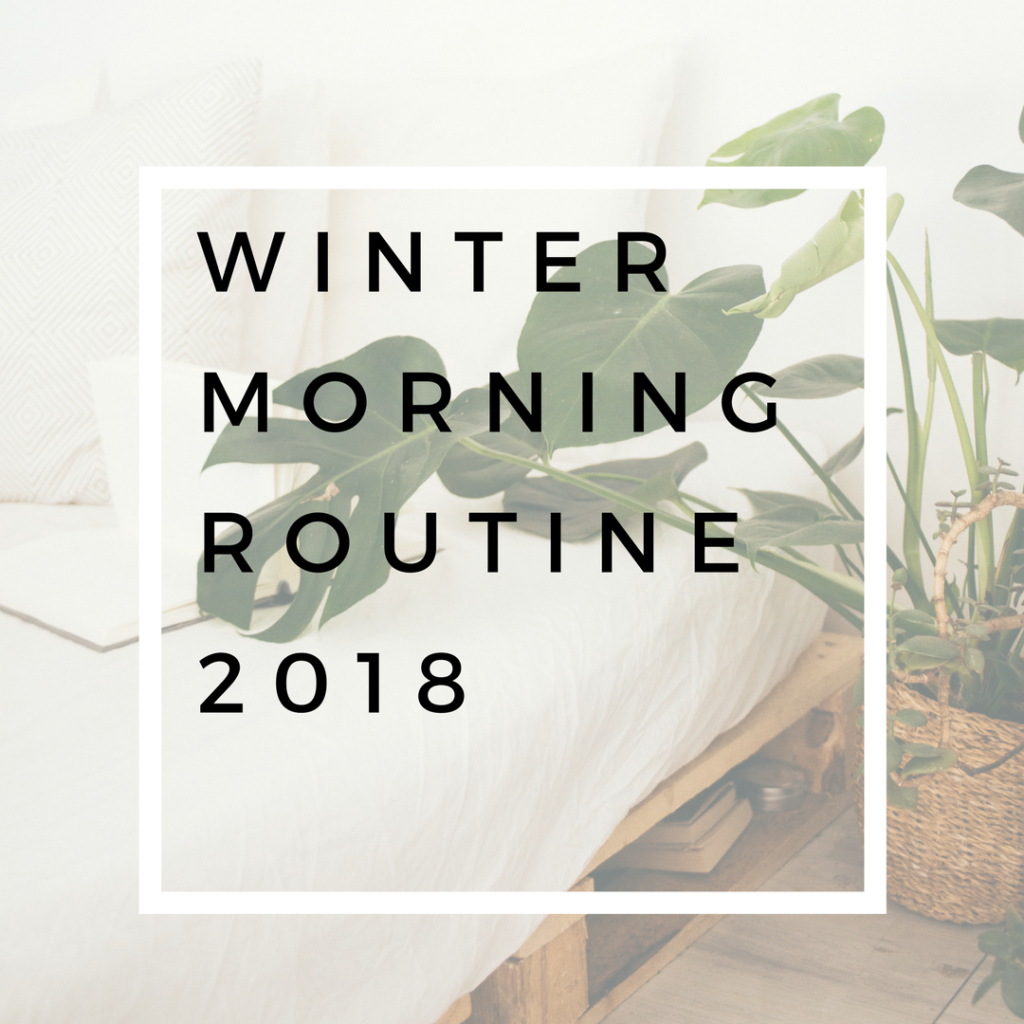 Winter Morning Routine – 2018