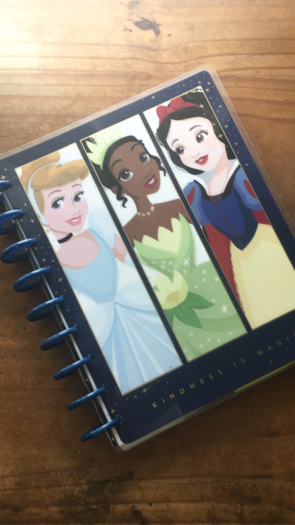 Princess Planner – How to plan your 2021 for success